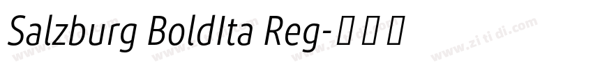 Salzburg BoldIta Reg字体转换